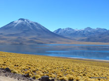 Laguna Miscanti - Chili